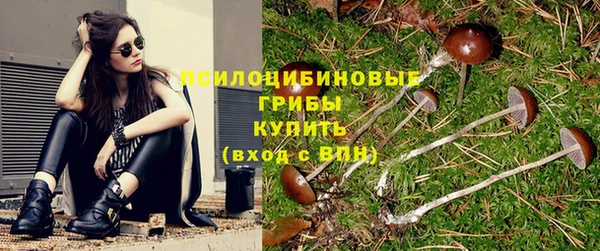 ECSTASY Алексин