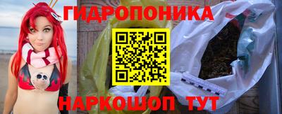 стаф Обь