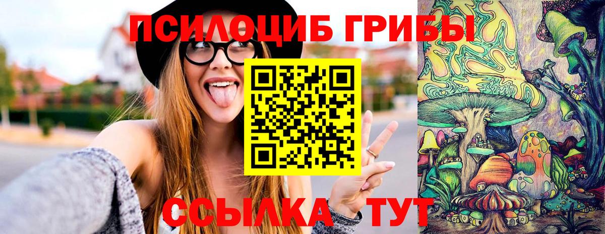 Псилоцибиновые грибы мицелий  дарнет шоп  Северодвинск  Вход с VPN  Галлюциногенные грибы Cubensis 